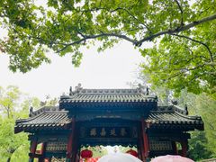 -大槐树寻根祭祖园