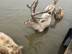 -宁波杭州湾国家湿地公园
