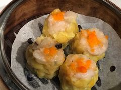 -詠春园