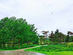 -长春公园(普阳街道)