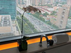 -上海璞麗酒店