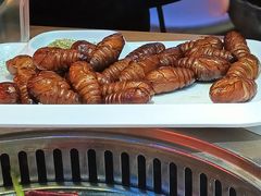 -杨记齐齐哈尔烤肉(总店)