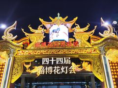 -淄博花灯齐彩城