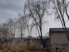 -三里河公园