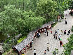 -合肥滨湖国家森林公园