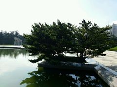 -上海市龙华烈士陵园