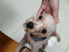 -蓝老大糖粥藕店(双塘路)