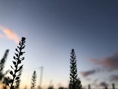 -南关北海公园