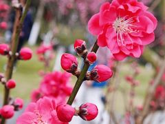 -常德桃花源景区