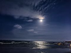 -日照海滨国家森林公园