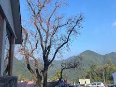 -丹山赤水风景名胜区