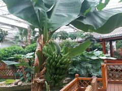 -汤山翠谷生态餐厅