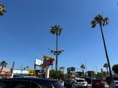 -In-N-Out Burger(LAX)