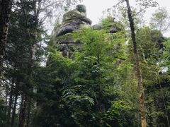 -汤旺河林海奇石景区