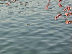 -迎泽公园