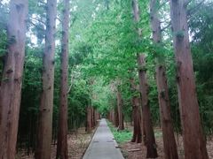 -同里国家湿地公园