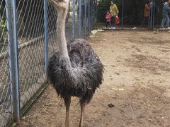 -长白岛森林公园