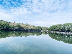 -白马涧龙池景区