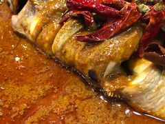 热辣桑巴-鱼酷活鱼烤鱼(北美店)