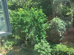 -吴掌柜·藕汤印象(南湖店)