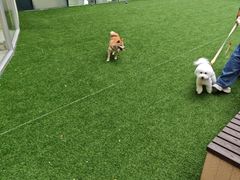 -首开·龙湖成都西宸天街