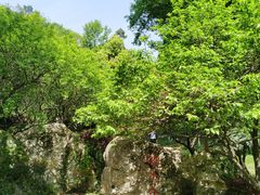 -团城山公园
