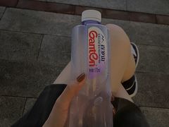 -春花秋色城市公园