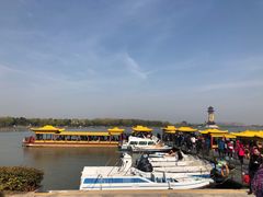 -溱湖国家湿地公园