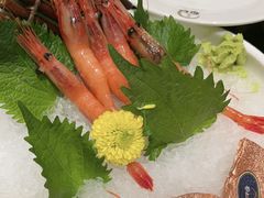-極上萬膳·日料放题(海岸城店)