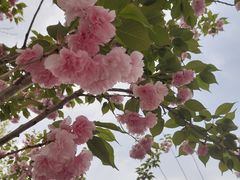 -太阳宫公园