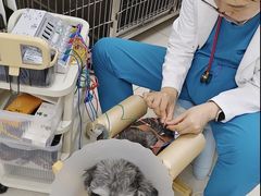 -美联众合动物医院·24h京西诊疗中心