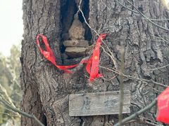 -白台寺