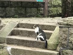 -崂山巨峰游览区