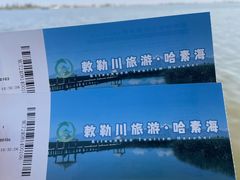 -哈素海