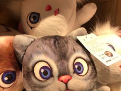 -猫咪博物馆(顶澳仔猫街店)