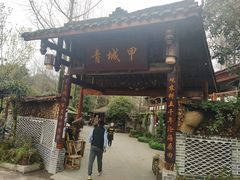 -青城甲(青城山店)