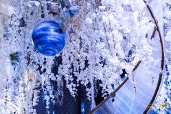 -北京东方茂酒店-宴会厅