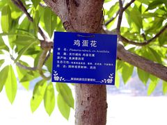 -鼓浪屿钢琴博物馆