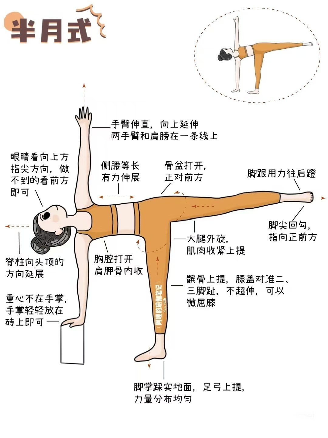 🧘‍♀瑜伽体式笔记