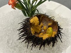 海胆-日月昇渔家菜·海肠捞饭·大连海鲜(星海公园店)