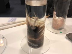 -冰岛阴茎博物馆
