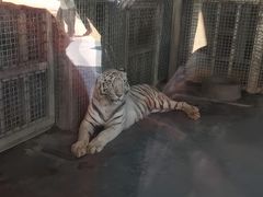 -无锡动物园·太湖欢乐园