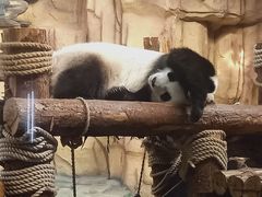 -泉州海丝野生动物世界