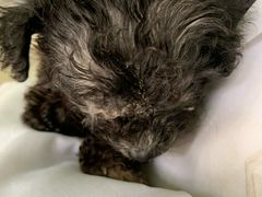 -百信宠物医院(东升街店)