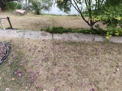 -西北湖绿化广场