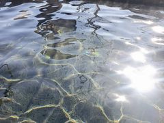 -青岛海泉湾度假区温泉