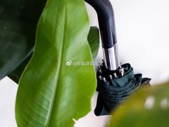 -常识咖啡common sense(春熙路店)