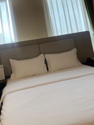 -明宇集团·积木枝芽母婴健康管理中心(天府店)