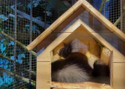 -酷嗒动物文化乐园(cutezoo西溪乐天城店)