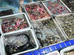 -霞涌市场海鲜摆卖区